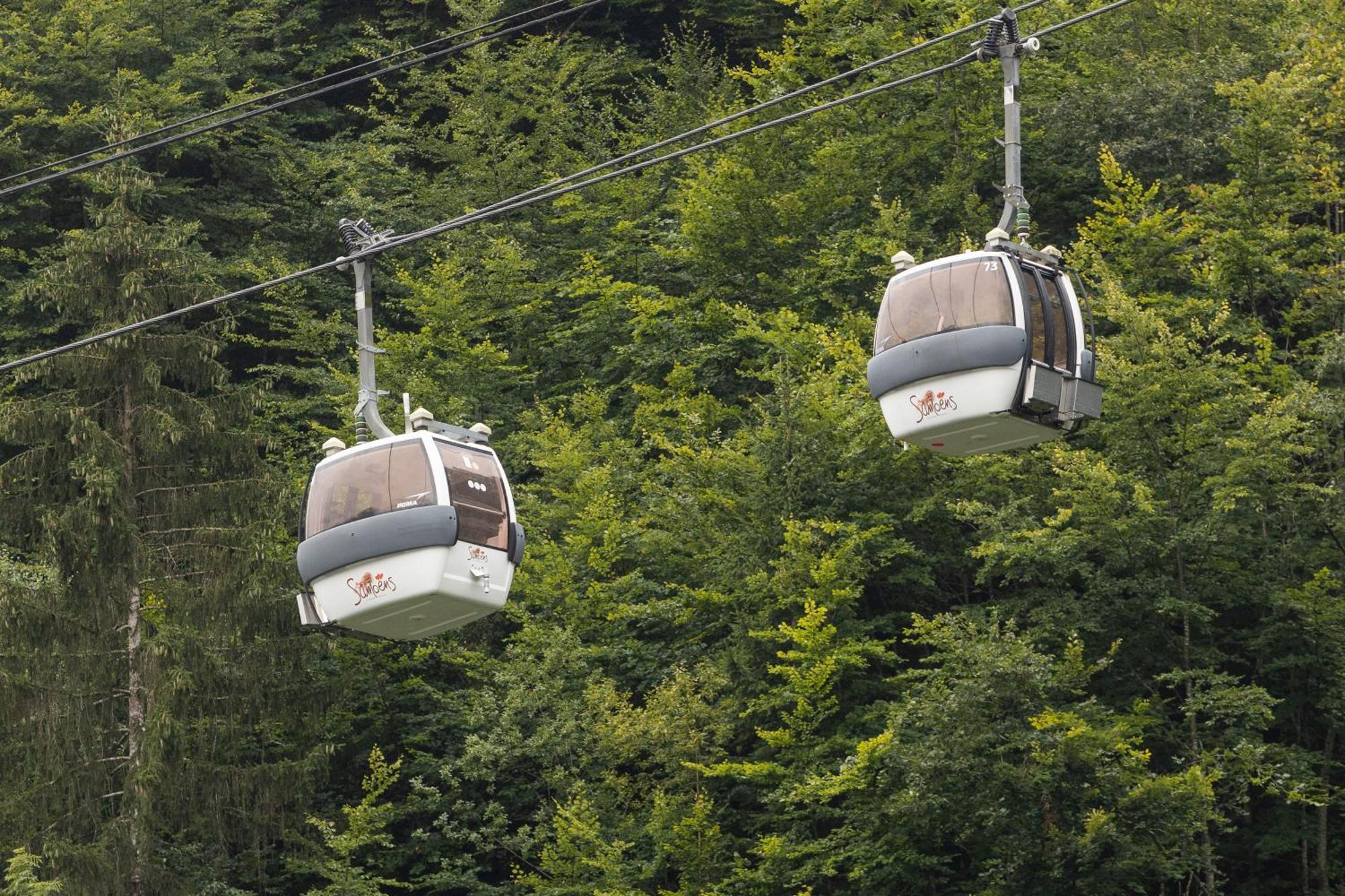 Avec Balcon Et Commodites Modernes Samoëns